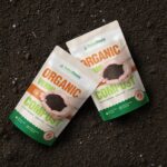 WhatsApp Image 2025-06-26 at 6.33.34 PM